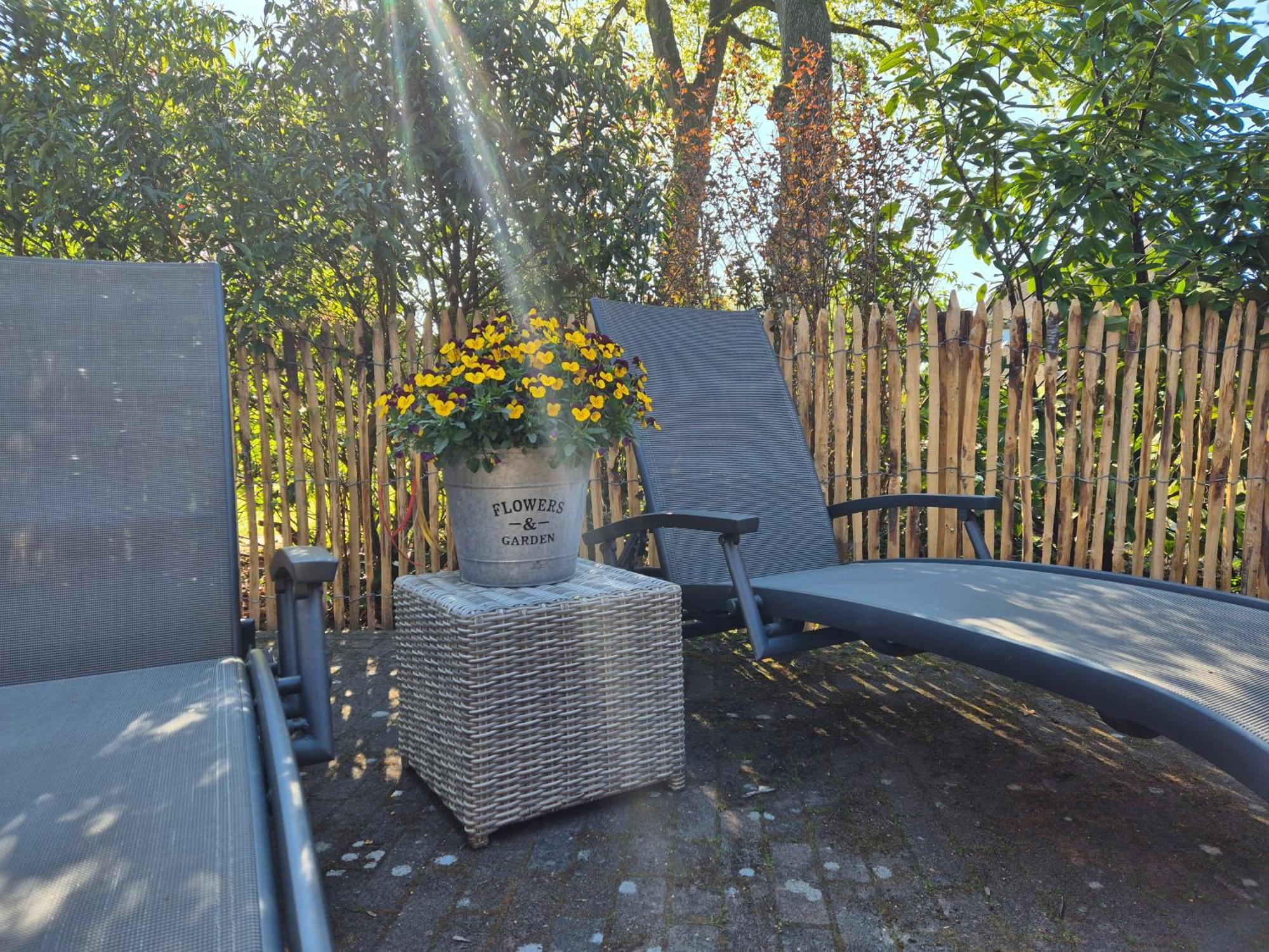 Bed En Breakfast Gees Екстер'єр фото
